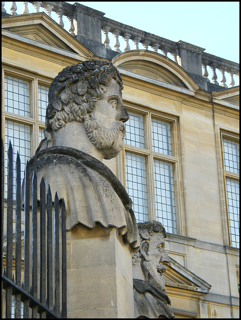 Sheldonian head no.11