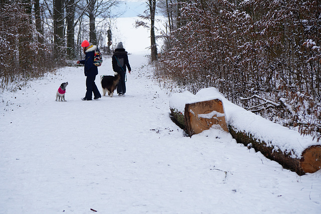 Winterfreuden - Winter delights