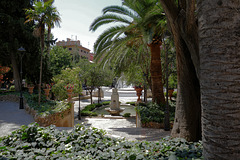 Palmen in Palma