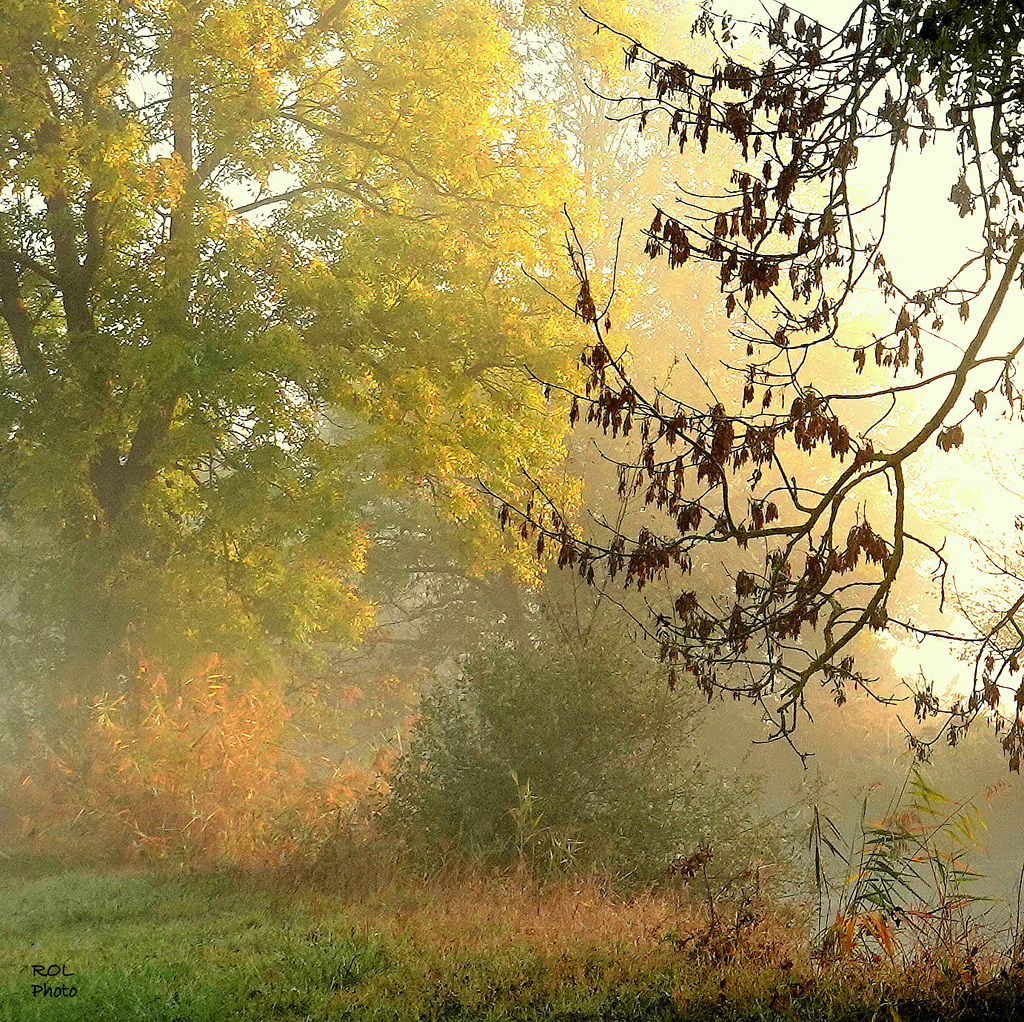 l'Automne... est là..!