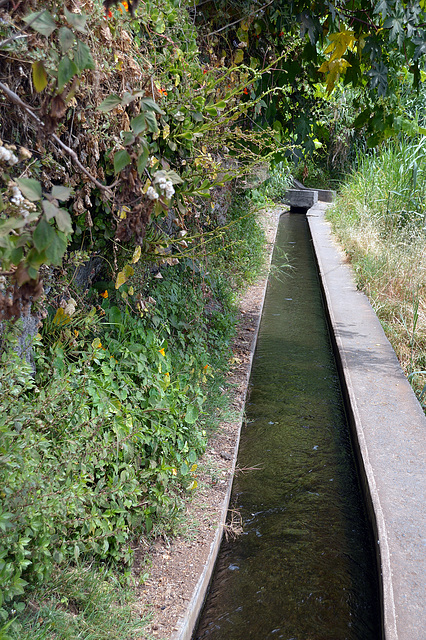 Unterwegs auf der Levada do Calvo in Funchal