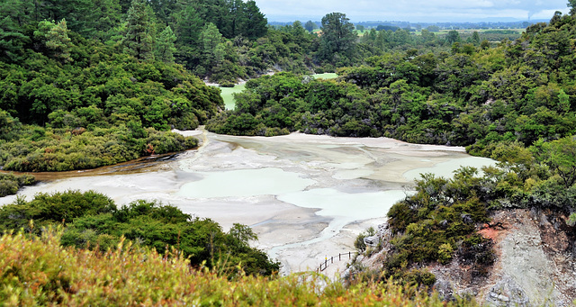 New Zealand