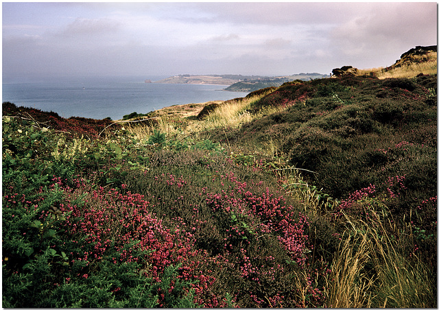 Totland Bay, Isle of Wight.