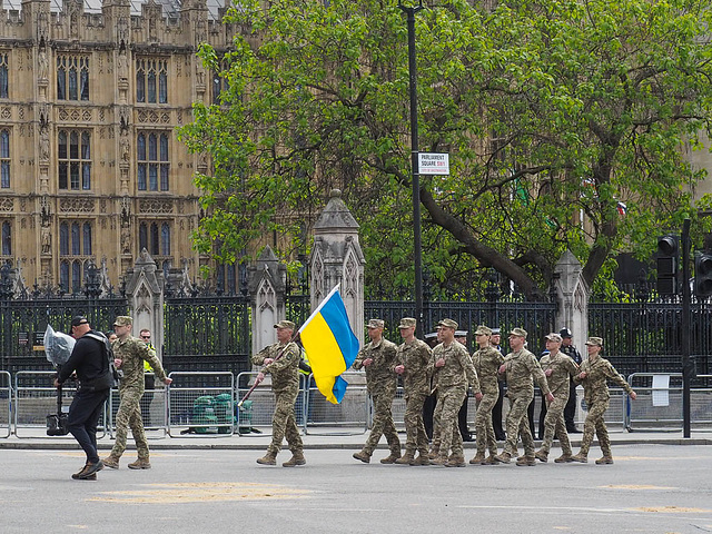 Ukrainian Flag