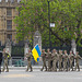 Ukrainian Flag