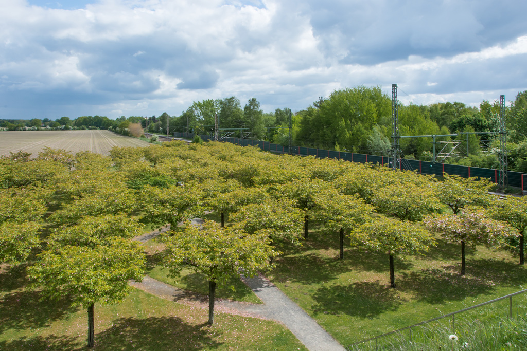 Gedenkort der ICE-Zugkatastrophe in Eschede