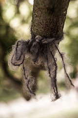 October Votive Offerings, Avebury (12)