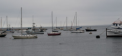 Monterey Fisherman’s Wharf (#1240)