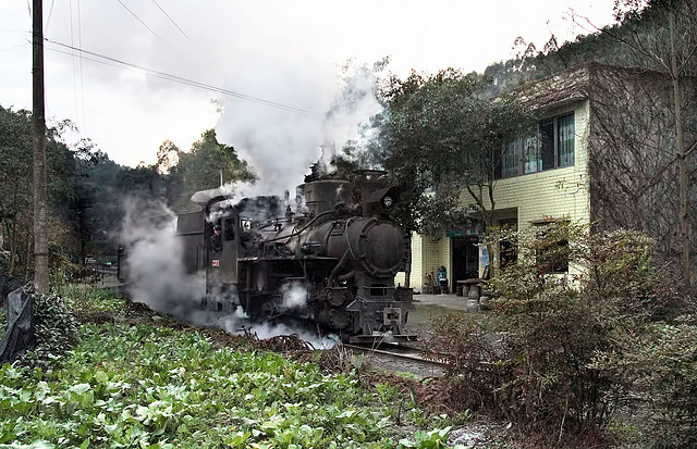 Steam and brassicas Steam and brassicas