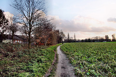 Weg an der Stadtgrenze Gelsenkirchen/Gladbeck / 24.12.2022