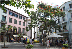 Funchal ,en ville !