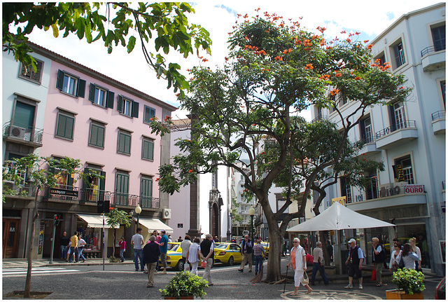 Funchal ,en ville !
