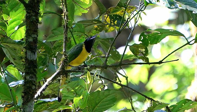 DSC01789a