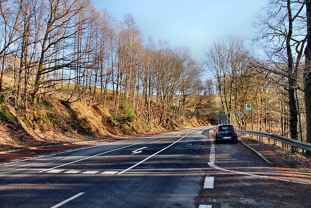 Holthausen (Breckerfeld) / 27.01.2024