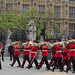 Parade