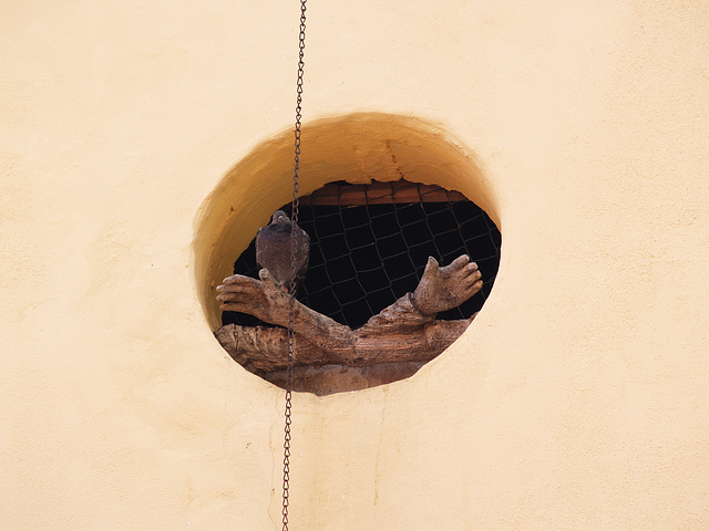 Rovinj, Hands and Dove