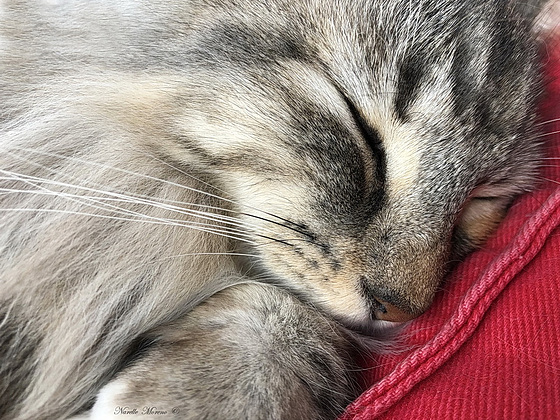 Ssshhhhhhh......