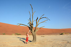 Namibia, Scene in Deadvlei at a Dry up Tree