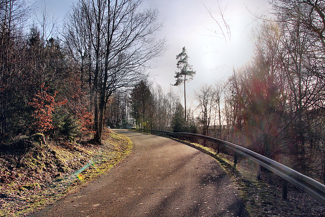 Weg zur Ennepetalsperre (Breckerfeld) / 27.01.2024