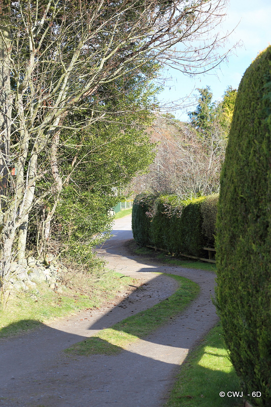 The Old Road