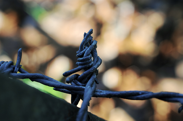 Barbed Wire Barbed Wire