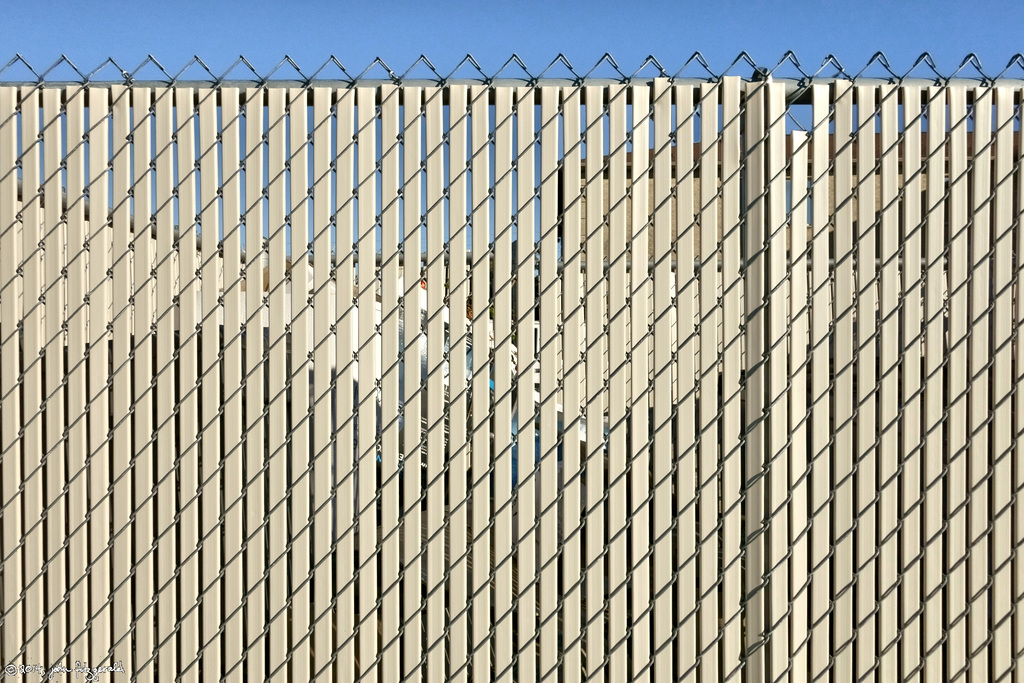 Happy Fence Friday