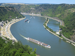 Blick auf den Rhein