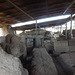 Iron Age Huts on the Palatine Hill, July 2012