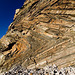 Millook Haven cliff detail 2