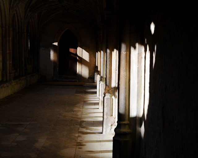 Shadows in the Cloisters