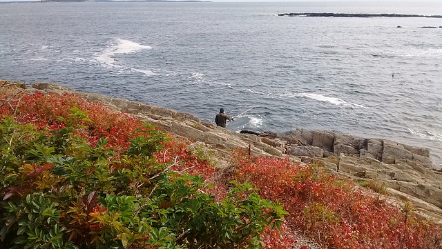 La mer et son barbu / O mar e sua barba