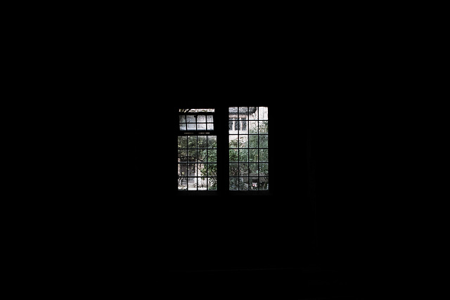 Window, Bleach