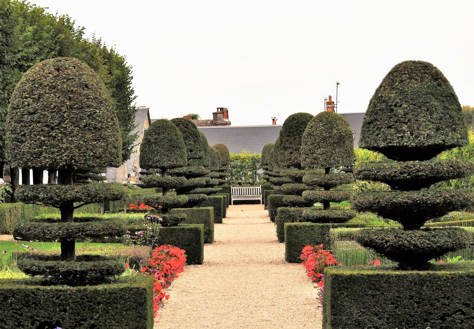 Cycling from Bordeaux Vineyards to the Atlantic Coast / Château de Villandry