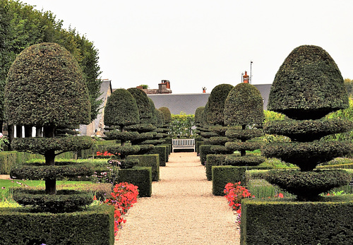 Cycling from Bordeaux Vineyards to the Atlantic Coast / Château de Villandry