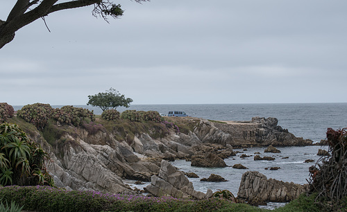 Pacific Grove (#1236)