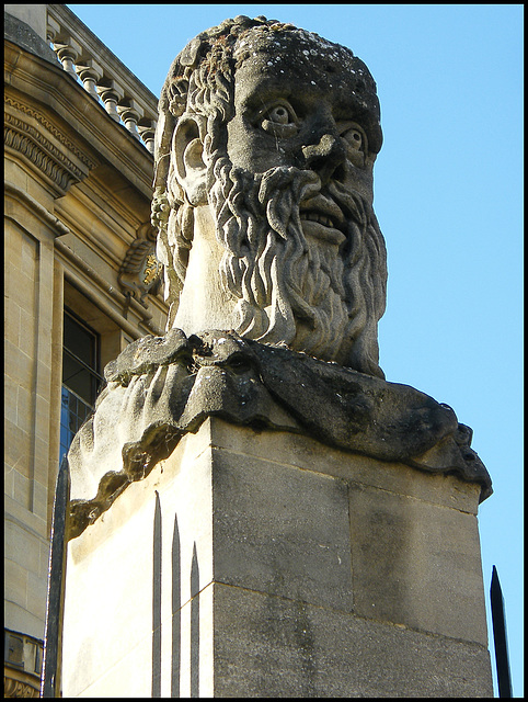 Sheldonian head no.5