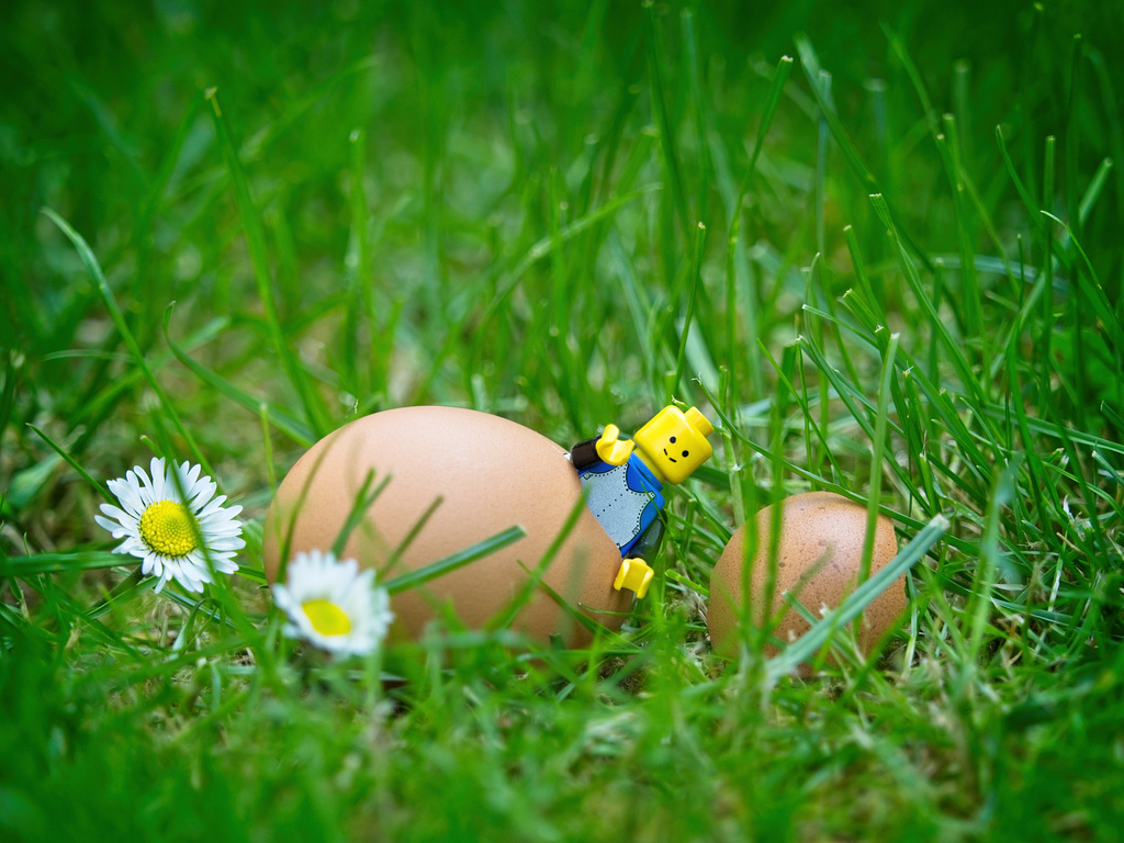 The Birth of a Lego Chick