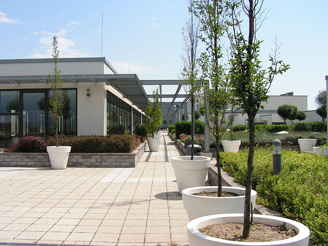 Roof garden