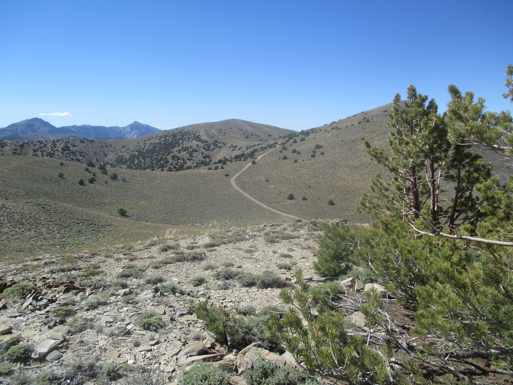 Inyo Crest 36