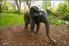kleiner Elefant im Stadtpark