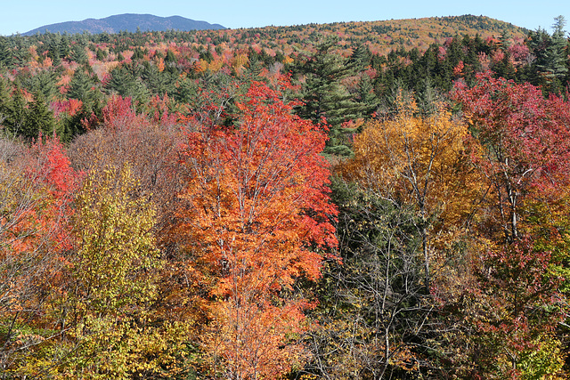 Mountain colors