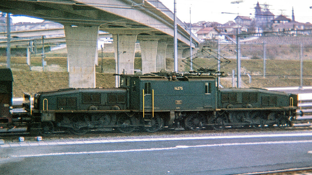 710000 LT Ce6 8 II 14275 pousse