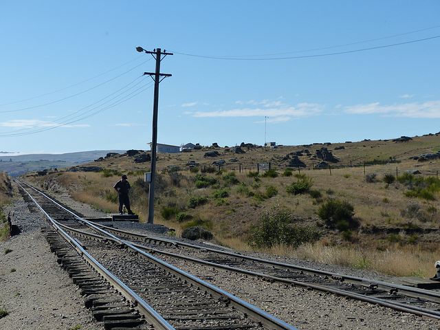 Taieri Gorge Railway (11) - 1 March 2015