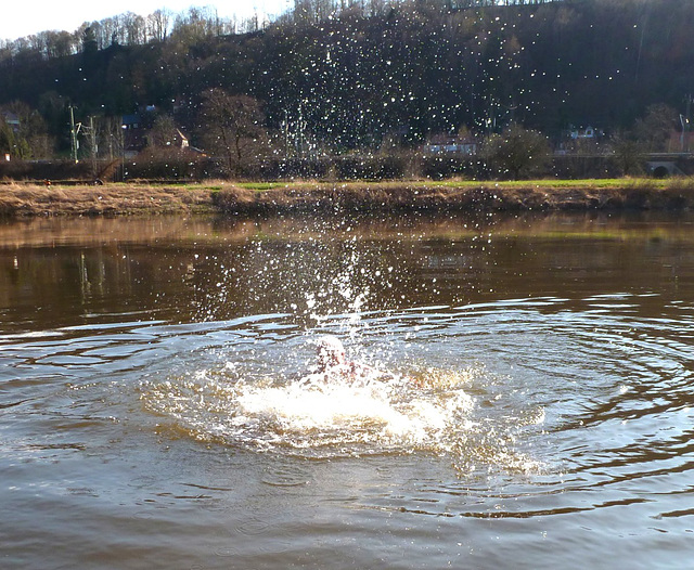 Badefreuden in der Elbe - banplezuroj en la Elbe