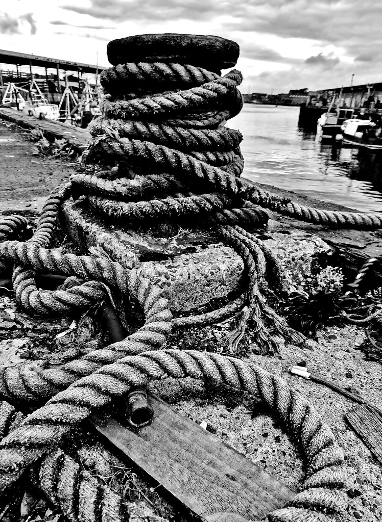 North Shields Fishquay