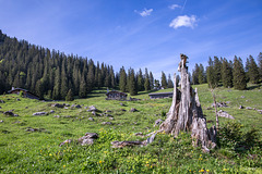 Kreuth  ++ Weidbergalm (1400 m)