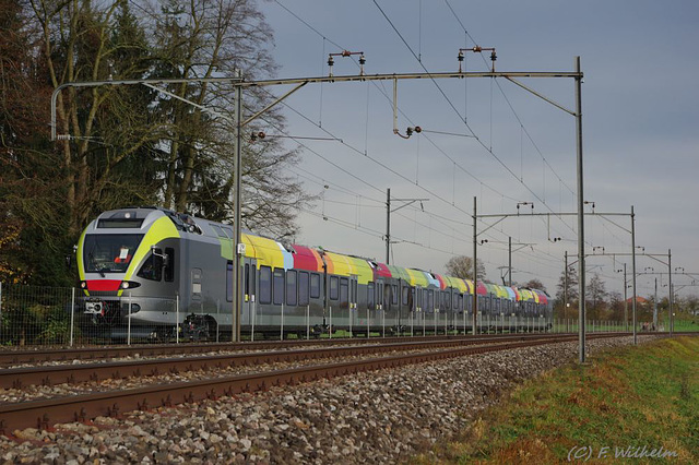BÖ0011874