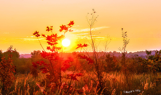 HerbstLich(t)