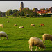 Church Bingelrade -Sint Lambertus