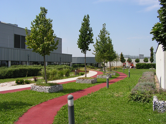 Roof garden